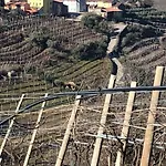 La Preara Farma