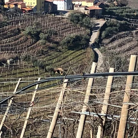 La Preara Vakantieboerderij